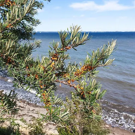 Διαμέρισμα Schmugglerstieg 13c - Dorf 5 Priwall