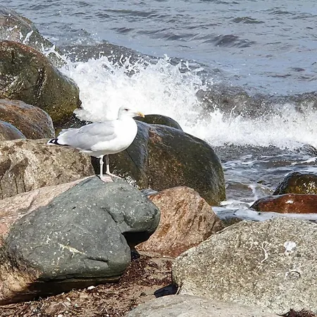 Schmugglerstieg 13c - Dorf 5 *